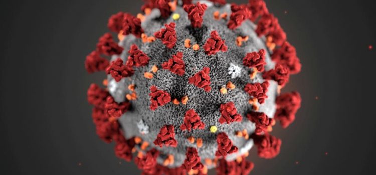 #Coronavirus: rumores y verdades